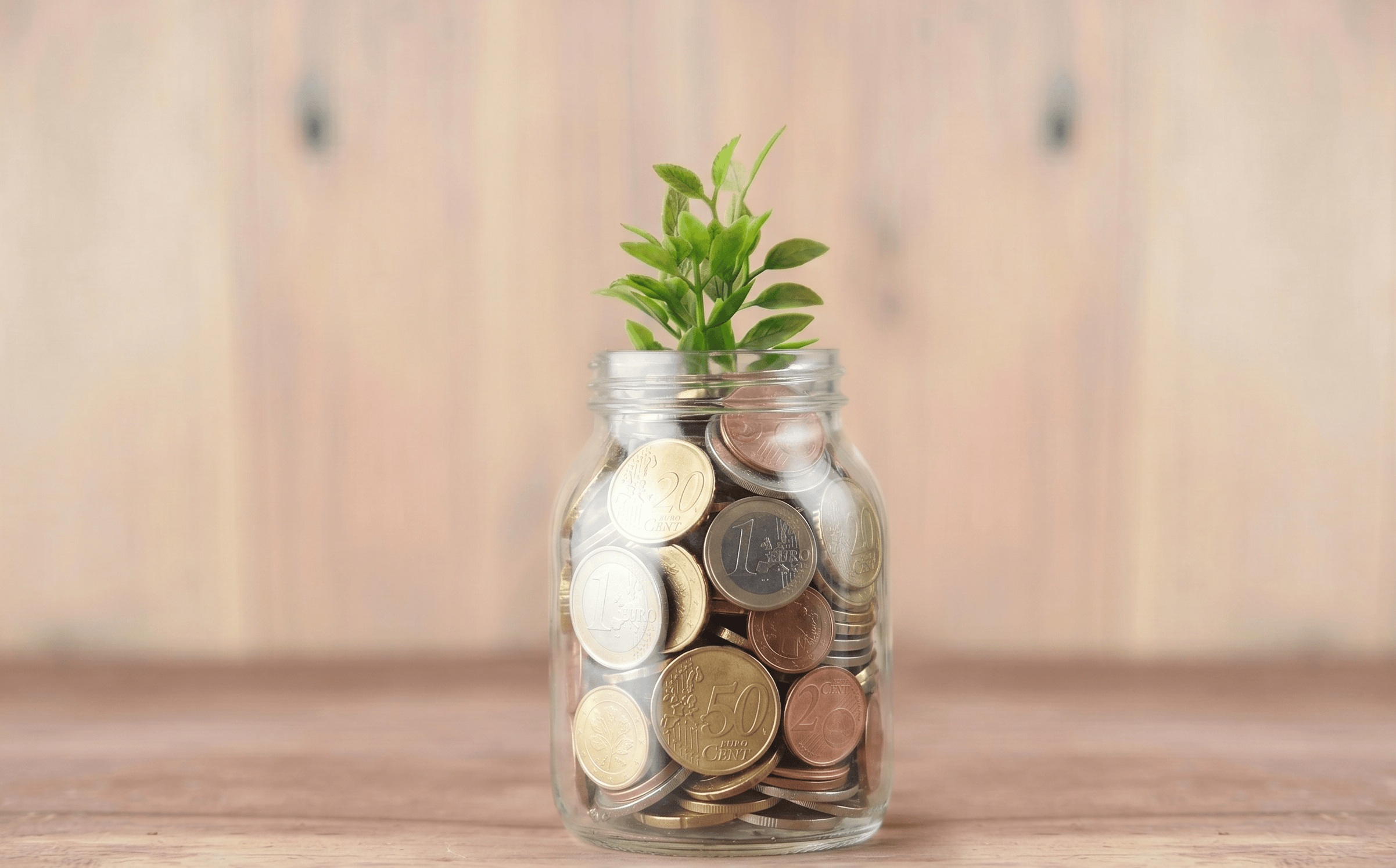 Tarro de cristal con monedas y una pequeña planta creciendo encima
