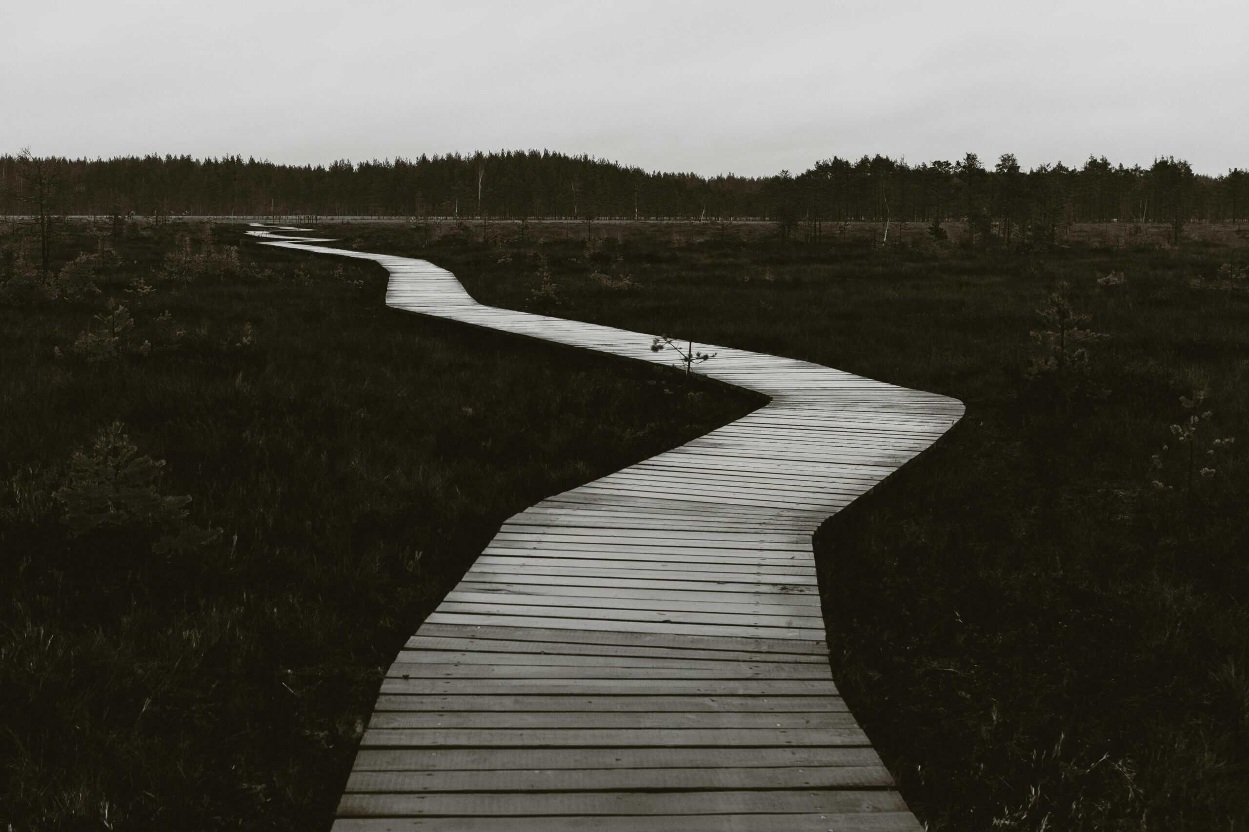 Pasarela de madera que serpentea atravesando un paisaje natural